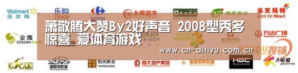 萧敬腾大赞By2好声音 2008型秀多惊