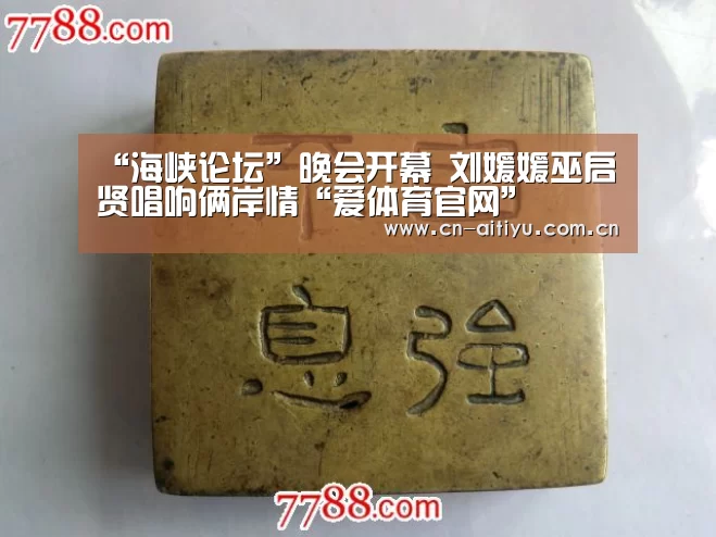 “海峡论坛”晚会开幕 刘媛媛巫启贤唱响俩岸情“爱体育官网”(图2) 爱体育游戏