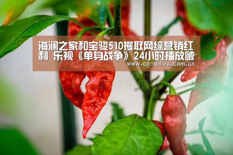 海澜之家和宝骏510攫取网综营销红利 乐视《单身战争》24小时播放破3000万|爱体育官网(图1) 爱体育官方